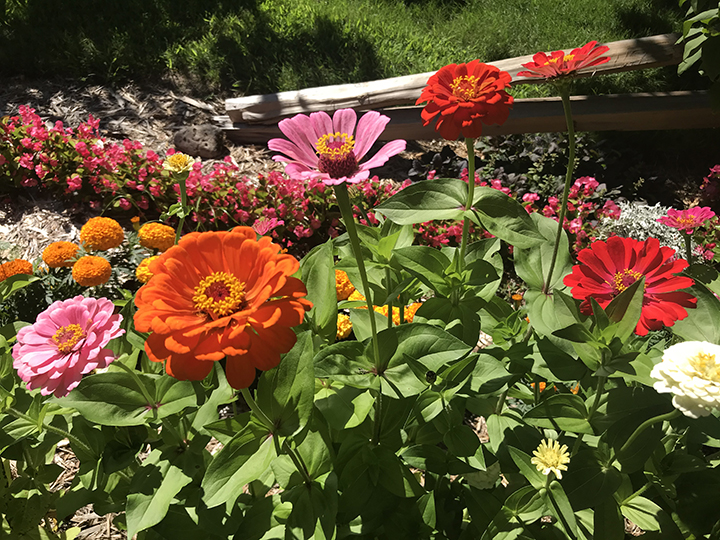 激安な *Flower garden* 女性漫画 markservis.rs